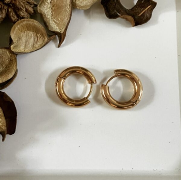 Bold Hoops - Image 8