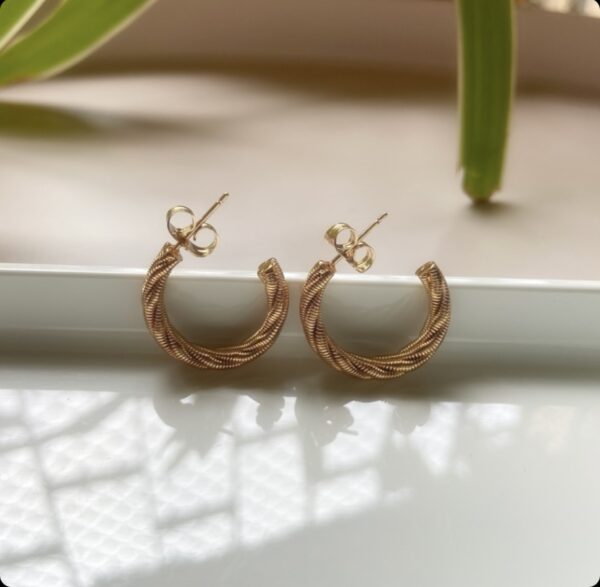 Twist Hoops