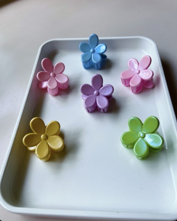 Flower Clips