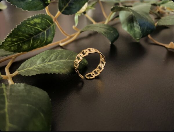 Interlocking Chain Ring