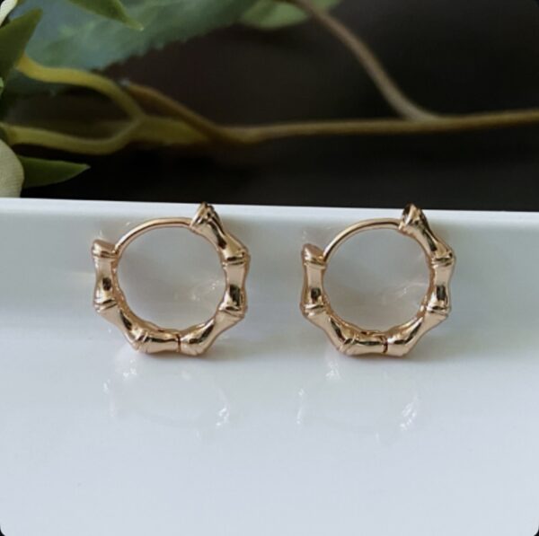 Dainty Hoops