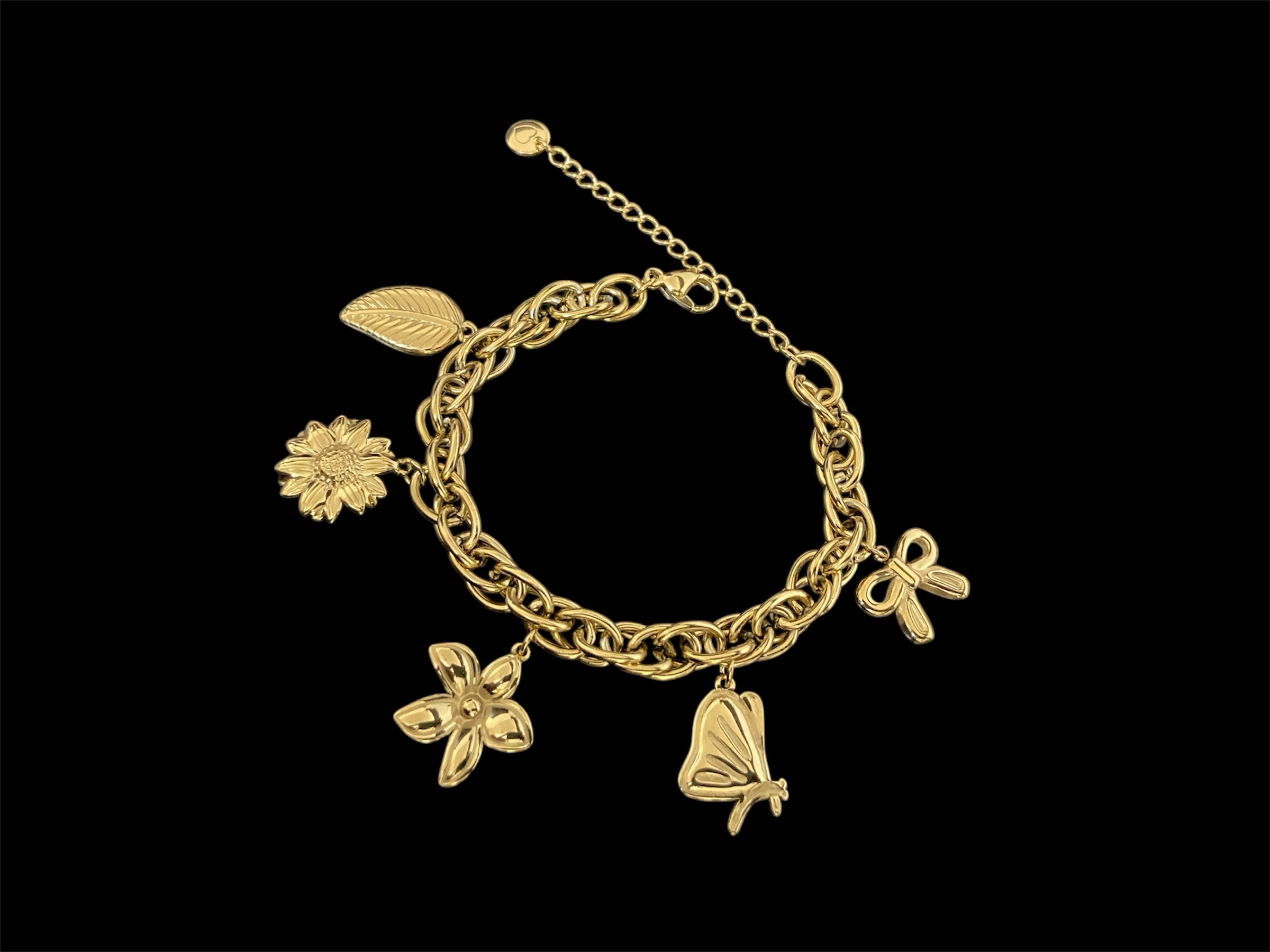 photoroom_20251110_181920 photoroom 20251110 181920