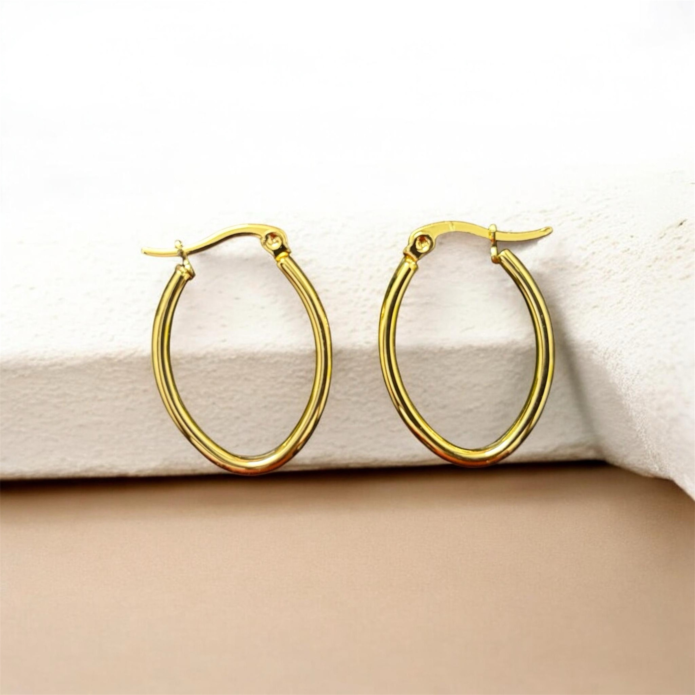 photoroom_20260226_190729 photoroom 20260226 190729