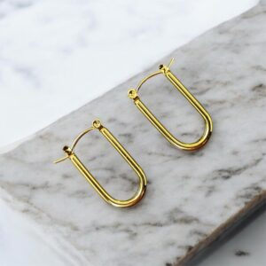 photoroom 20260226 191304