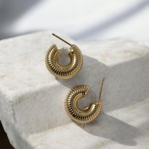 photoroom 20260311 182210