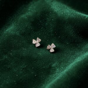 photoroom 20260404 144520