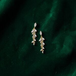 photoroom 20260404 155357